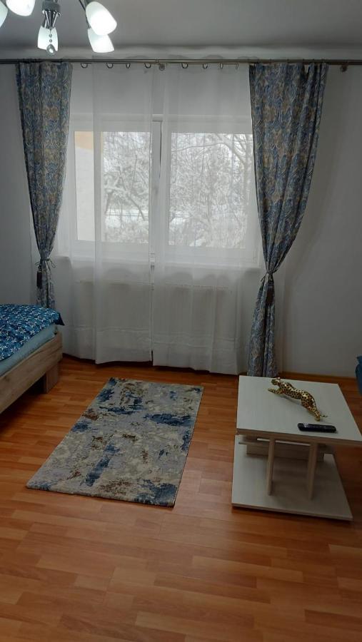 Garsoniera Bia Apartment Brasov Exterior photo